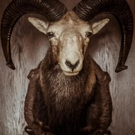 فندق Linde Höchst